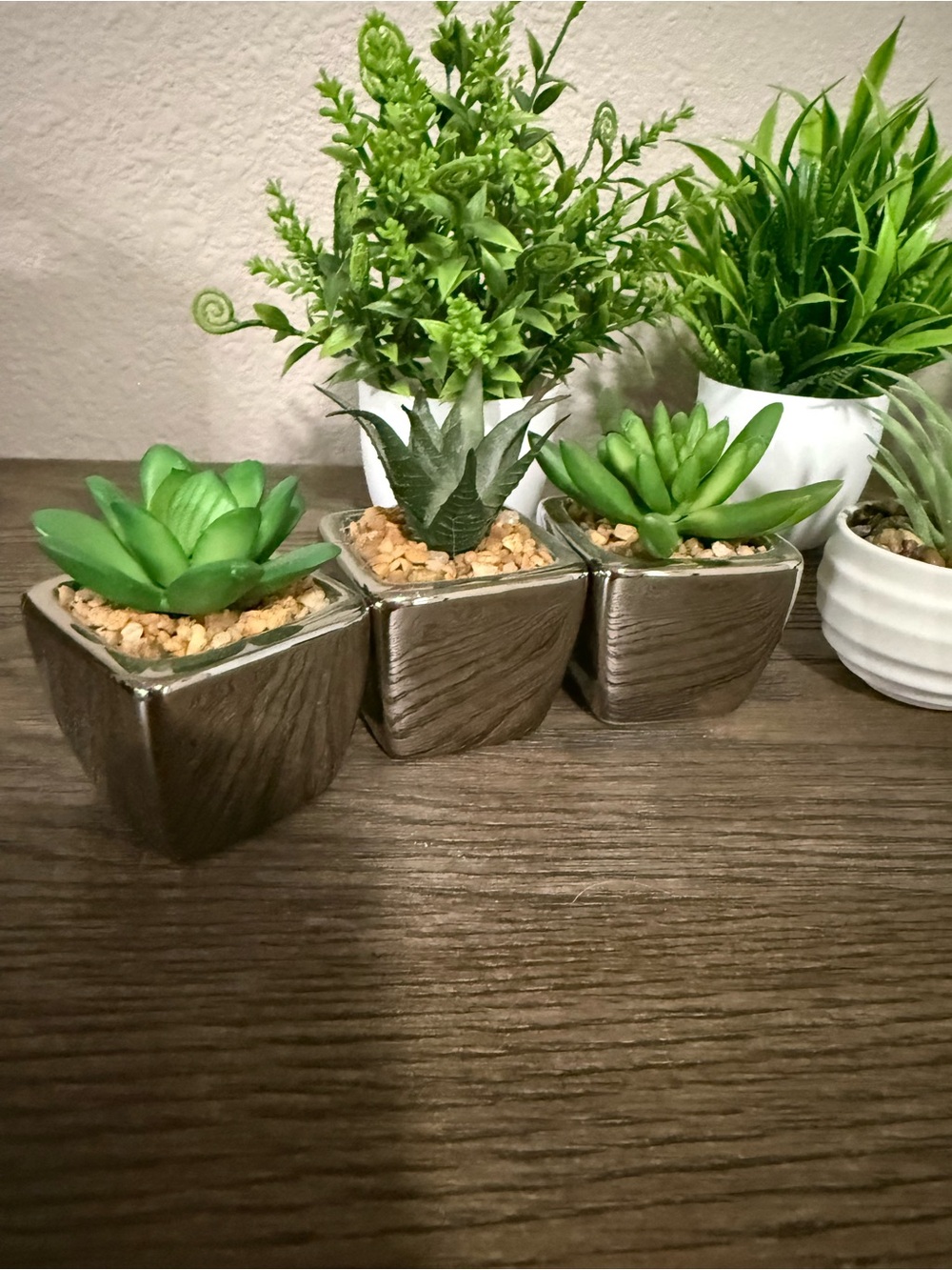Assorted Green Faux Succulent Set in White and Brown Planters - Home Accents - Picture 3 of 4